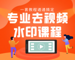 专业去视频水印教程 静态水印、动态水印、文字水印、图片水印一套教程通通搞定-知乎者也