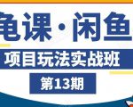 龟课·闲鱼项目玩法实战班第13期,轻松玩转闲鱼,多渠道多方法引流到私域流量池-知乎者也
