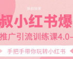 狼叔小红书爆款推广引流训练课4.0,手把手带你玩转小红书-知乎者也