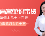 抖音高单价带货项目,一单佣金几十上百元,核心套路月入几十万(共3节)-知乎者也