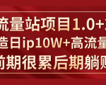 《大流量站项目1.0+2.0》打造日IP10W+高流量站,前期很累后期躺赚-知乎者也