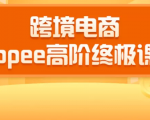 2020跨境电商蓝海新机会-SHOPEE大卖特训营:高阶终极课程(16节课)-知乎者也