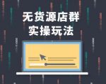 无货源店群实操玩法，蓝海选品的独特思路，店群软件操作方法（45节视频课）-知乎者也