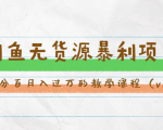 斜杠蜻蜓·闲鱼无货源暴利项目:让你百分百月入过万的教学课程(v1-v5班)-知乎者也