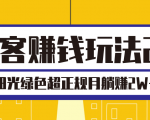 淘客赚钱玩法2.0,阳光绿色超正规项目,月躺赚2W+【视频课程】-知乎者也