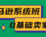 亚马逊系统班，专为0基础卖家量身打造，亚马逊运营流程与架构-知乎者也
