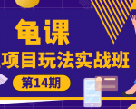 龟课·闲鱼项目玩法实战班第14期,批量细节玩法,一个月收益几万-知乎者也