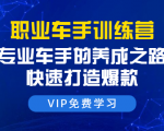 职业车手训练营:专业车手的养成之路,快速打造爆款(8节-无水印直播课)-知乎者也