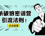 杀破狼密训营:B站霸屏引流的原理及方式+搭建赚钱的内容法则-知乎者也