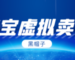 黑帽子淘宝虚拟卖货项目，单店每月收入5000+-知乎者也