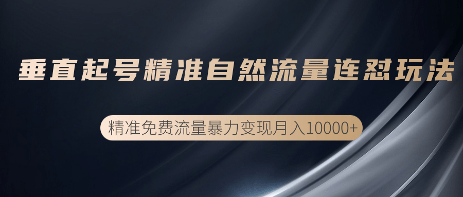 垂直起号精准自然流量连爆玩法,精准引流暴力变现月入10000+-知乎者也