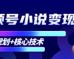 柚子微信视频号小说变现项目,全新玩法零基础也能月入10000+【核心技术】-知乎者也