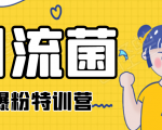 引流菌2020全网爆粉特训营(QQ群霸屏,知乎引流,群裂变,自动化引流等)-知乎者也