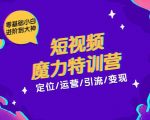 零基础小白进阶到大神《短视频魔力特训营》定位-运营-引流-变现-知乎者也