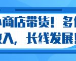 微信小商店带货，爆单多倍收入，长期复利循环！日赚300-800元不等-知乎者也