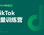 2020最新TikTok流量增长训练营（完结）附PPT-知乎者也