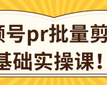 视频号PR批量剪辑0基础实操课,PR批量处理伪原创一分钟一个视频【共2节】-知乎者也