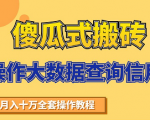 搬砖操作大数据查询信用项目赚钱教程,祝你快速月入6万-知乎者也