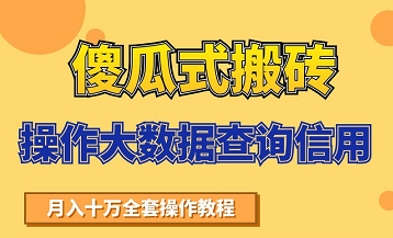 搬砖操作大数据查询信用项目赚钱教程,祝你快速月入6万-知乎者也