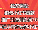 狼叔小红书爆款推广引流训练课7.0,手把手带你玩转小红书-知乎者也