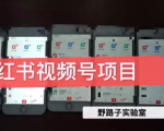 野路子小红书视频号1.0项目,直接上手操作就能赚钱的视频号项目-知乎者也