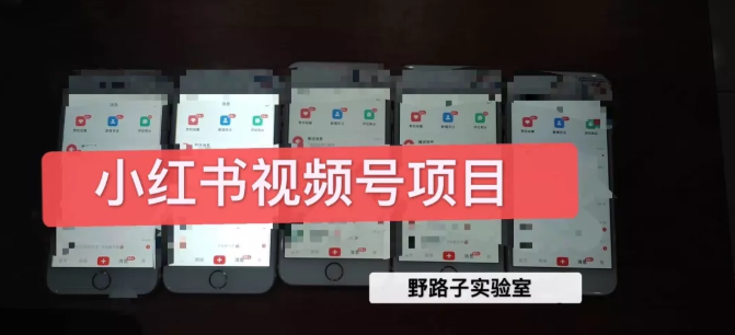 野路子小红书视频号1.0项目,直接上手操作就能赚钱的视频号项目-知乎者也