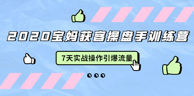 2020宝妈获客操盘手训练营:7天实战操作引爆 母婴、都市、购物宝妈流量-知乎者也