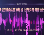黄岛主·FM音频引流特训营2.0:独家引流模式,单账号50W+播放量,轻松变现-知乎者也