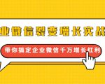 企业微信裂变增长实战课:带你搞定企业微信千万增长红利,新流量-新玩法-知乎者也