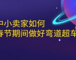 淘宝中小卖家如何利用春节期间做好弯道超车,如何做到月销售额20W+-知乎者也