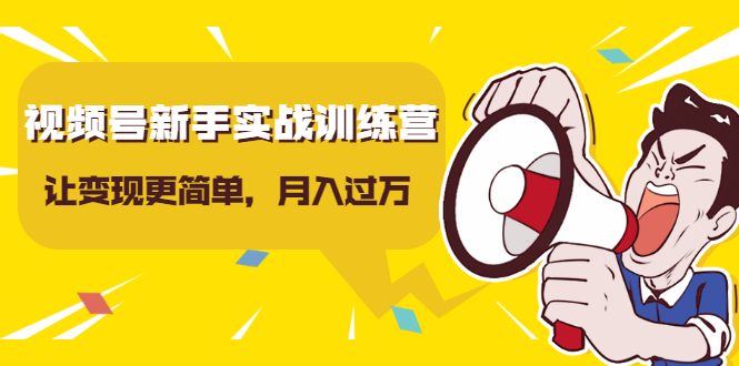 视频号新手实战训练营,让变现更简单,玩赚视频号,轻松月入过万-知乎者也