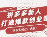 拼多多新人打造爆款创业课：快速引流持续出单，适用于所有新人-知乎者也
