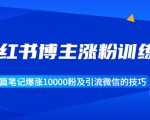 小红书博主涨粉训练营:一篇笔记爆涨10000粉及引流微信的技巧-知乎者也