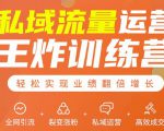 私域流量运营王炸训练营:全网引流+裂变涨粉+私域运营+高效成交-知乎者也