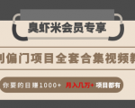 暴利偏门项目全套合集视频教程:你要的日赚1000+月入几万+项目都有-知乎者也