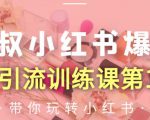 狼叔小红书爆款推广引流训练课第12期,手把手带你玩转小红书-知乎者也