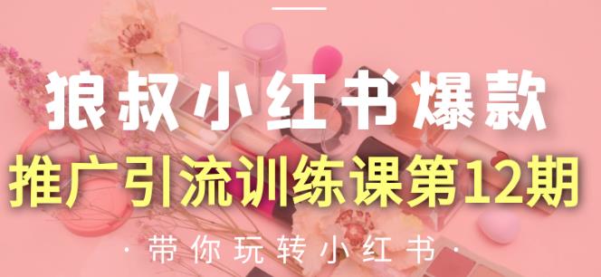 狼叔小红书爆款推广引流训练课第12期,手把手带你玩转小红书-知乎者也