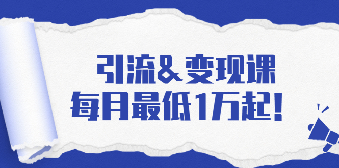 引流&变现课：分享一整套流量方法以及各个渠道收入，每月最低1万起！-知乎者也