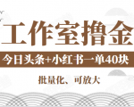 工作室撸金二件套:撸今日头条原创收益+小红书一单利润40块项目-知乎者也