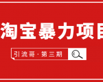 引流哥·第3期淘宝暴力项目:每天10-30分钟的空闲时间,有淘宝号,会玩淘宝-知乎者也