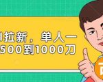 Paypal拉新赚美刀项目,单人一天利润500-1000刀【视频课程】-知乎者也