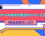 详细解析TIKTOK如何利用海外CPS+工具0粉丝轻松变现月入过万-知乎者也