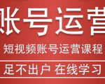短视频账号运营课程：从话术到短视频运营再到直播带货全流程，新人快速入门-知乎者也