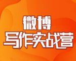 村西边老王·微博超级写作实战营，帮助你粉丝猛涨价值999元-知乎者也