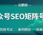 高鹏圈公众号SEO矩阵号群,实操20天纯收益25000+,普通人都能做-知乎者也