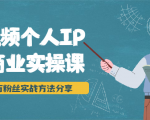 短视频个人IP商业实操课,百万粉丝实战方法分享,小白也能实现流量变现-知乎者也