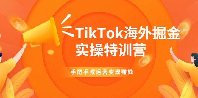 TikTok海外掘金实操特训营：手把手教运营变现赚钱-知乎者也