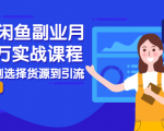 2021闲鱼副业月入过万实战课程:从开店到选择货源到引流,全程实战教学-知乎者也