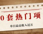 30套热门项目:单日最高收入过万 (网赚项目、朋友圈、涨粉套路、抖音、快手)等-知乎者也