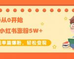 生财小红书涨粉变现:新账号从0开始3个月小红书涨粉5W+实现单篇爆粉-知乎者也
